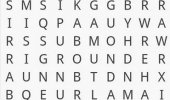 Скриншот №1 "Word Search"