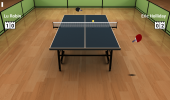 Внешний вид "Virtual Table Tennis"