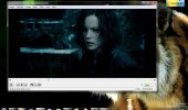 Скриншот №1 "VLC Media Player (VideoLAN)"